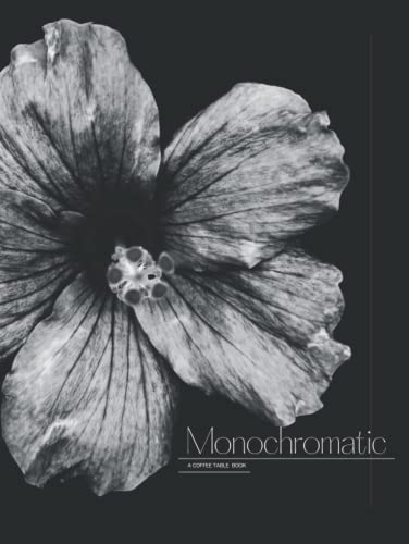 Monochromatic - decorative coffee table books huge black and white: