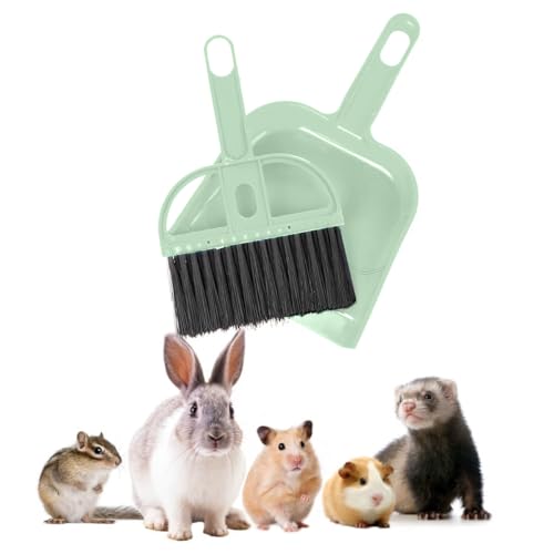 5 Best Brooms for Cat Litter Cleanup A MustHave for Cat Owners