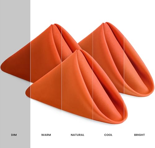 Serviettes de table en tissu de qualité supérieure pour une décoration raffinée