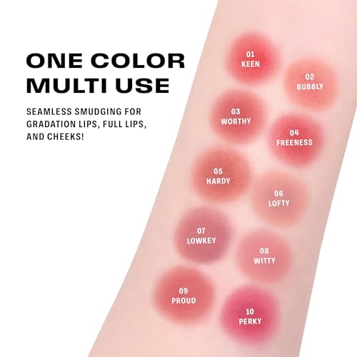 BRAYE LIPSLEEK BLUR | Blush for Cheeks & Lips, Korean Makeup Blush, Cool Lip and Cheek Balm, Vegan Cream, Lightweight w/Blendable & Buildable Makeup, Natural Look 10 PERKY 0.08oz