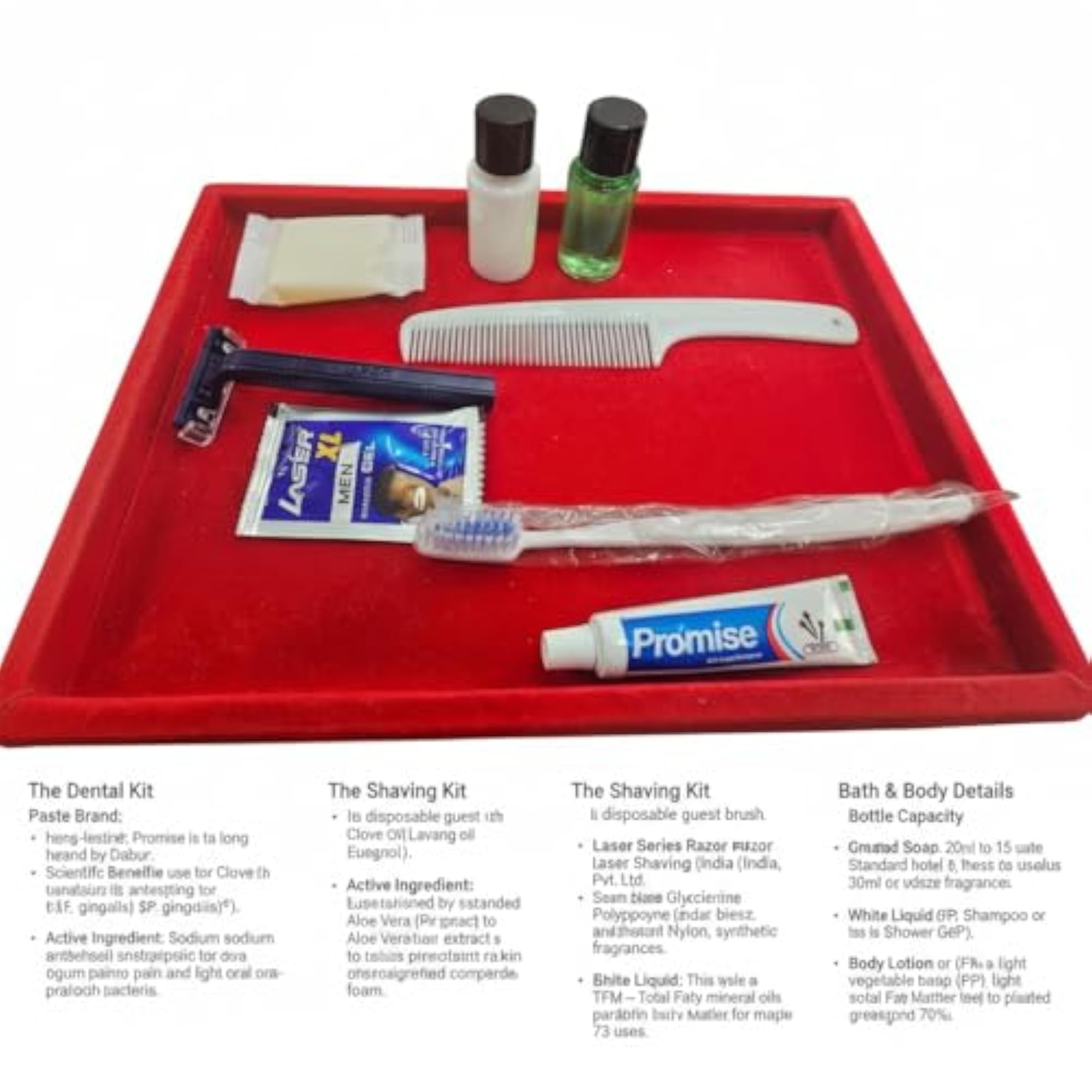 10 Sets Guest Amenity Kits with Zip Pouch