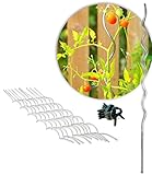 Novatool 10x Tomatenspiralstab 170 cm und 20x Pflanzenbefestigung I Pflanzenbefestigungen Stab Tomatenrankhilfe für Topf Gewächshaus I Metall verzinkt stabil Pflanzstab Tomate Pflanzenklammer