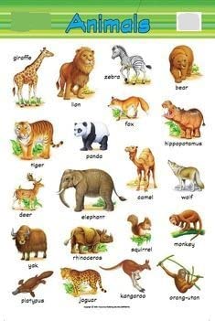 ILT Retail - Animals Educational Wall Chart for Kids, Learn About Animals at Home or School with Educational Wall Chart for Children, Picture Charts for Kids, Laminated (19 inches X 29 inches) (B0BCQ9J4PD) Amazon Price History, Amazon Price Tracker