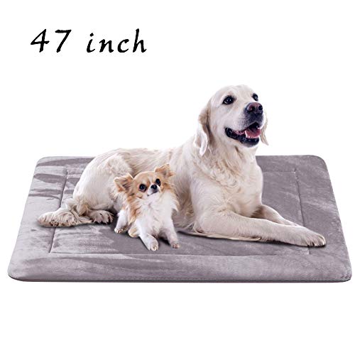 10 Best Yorkie Dog Beds [Reviewed in 2020] PetStruggles