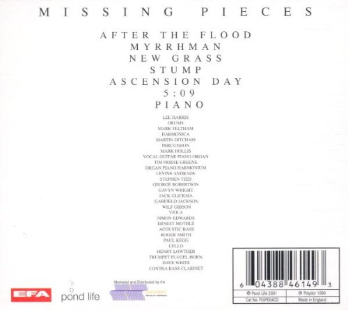 Missing Pieces