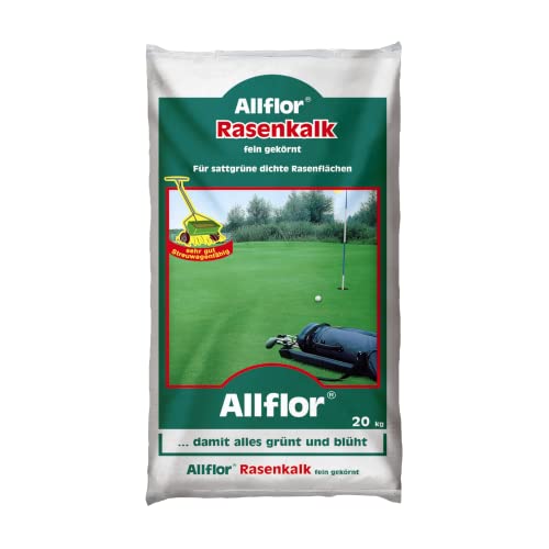 Compo Rhodo- und Hortensien Vital, Spezialdünger zur Reduzierung des pH-Wertes im Boden, 1 kg, 4.7x14.2x20 cm