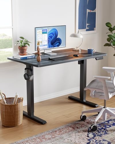 HUANUO 55" x 28" Electric Standing Desk Adjustable Height, 4 Memory Height Settings, Headphone Hook, Cable Manager, Sit Stand Up Desk for Home Office & Computer Workstation, Grey