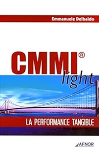 CMMI light: La performance tangible