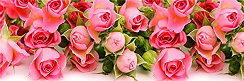Kit diamond painting rose rose 80x220cm pour décorer un grand mur de salon ou bureau