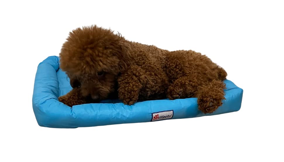 Billipets Nylon Waterproof Dog Bed, Washable Dog Pillow with Water Resistant Nylon Fabric for Dog Blue, Small 33 x 46cm - Image 2