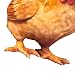 Genérico Peluche De Animal Extraño Cojín Suave Decorativo De Pollo Gato Imagen de Genérico Peluche De Animal Extraño Cojín Suave Decorativo De Pollo Gato