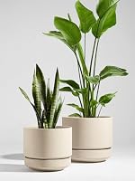 LE TAUCI Keramik Blumentopf Groß 30 cm mit Untersetzer, Großer Pflanzkübel für Außen & Innen, mit Drainageloch, Netz, Unglasiert & Atmungsaktiv, Modern für Terrasse – Sand-Beige – Ansicht 2