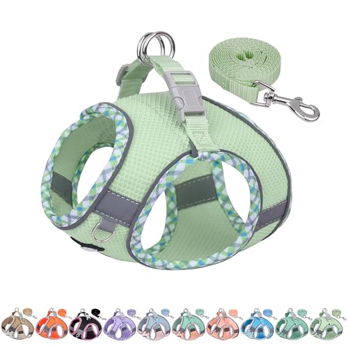 AIITLE Teacup Puppy Harness with Leash - Adjustable Soft Vest with Magic Tape & Reflective Safety Strips, Easy-Put-On for Poodles, Pomeranians - Gym, Hiking, Travel (Sage, S)