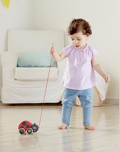 Hape Nachziehkäfer Marie - Nachziehspielzeug aus Holz, Motorik, Laufenlernen, Lernspielzeug Baby, Montessori Spielzeug, für Kinder ab 12 Monaten