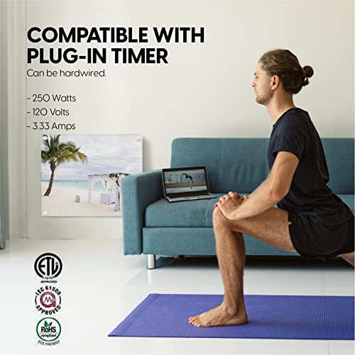 EconoHome Wall Mount Space Heater Panel with Nano Binder - 250 Watt Splashproof Convection Heater - Ideal for 100 Sq Ft Room or Bathroom - 120V Electric Heater