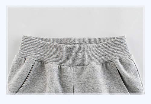 Baby Boy's Sweatpants Active Joggers Athletic Pant Dinosaur Cotton French Terry (2-Pack)4