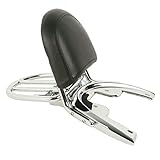 TCT-MOTORPARTS Sissy Bar Backrest Luggage Rack & Baseplate Fit for Harley V-Rod VRSCA VRSCB VRSCD 2002-2006; VRSCSE 2005