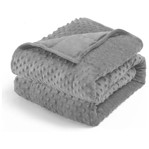 Wemore Minky Dot Weighted Blanket for Adults Queen Size 20 lbs, Soft Cozy Heavy Blanket for Stress Relief and Sleep Promotion, Breathable Blanket for All-Season with Glass Beads, Grey 60 x 80 inches Cover