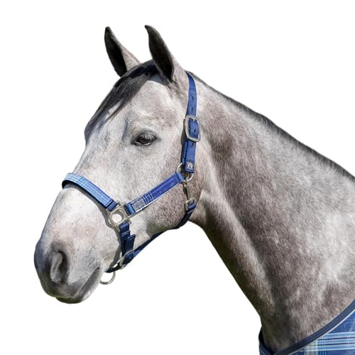 Kensington Premium Halter with Padded Nose Stronger Than Leather Padded Nose Piece Adds Comfort and Control Throat Snap for Identical Fit - Large, Kentucky Blue