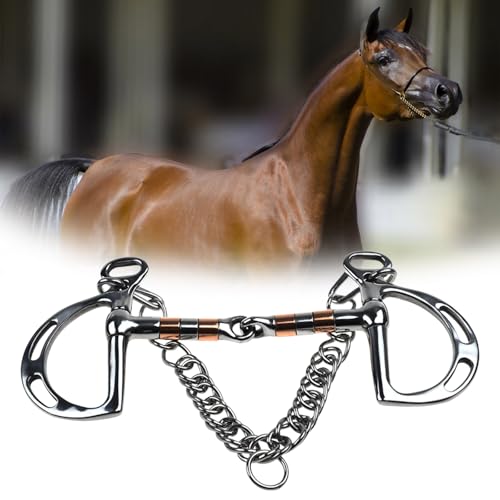 Dentition d'équitation sûre pour entraînement de chevaux de compétition - 2