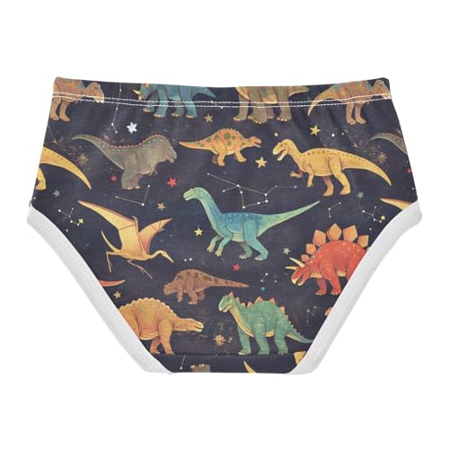 Wusikd Dinosaurs Colors Girls' Underwear Cotton Starry Night Sky Girls Briefs Soft Toddler Underwear 2T2