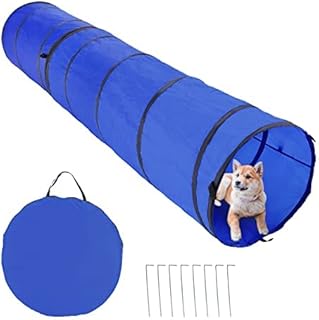 amazon dog tunnel