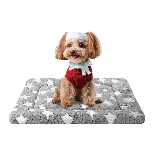Visual Reference: Dog Crates Pads The 15 Best Products Compared