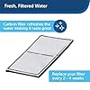 PetSafe-Drinkwell-Outdoor-Dog-Water-Fountain-Pet-Drinking-Fountain-450-oz-Capacity-Water-Dispenser Outdoor Dog Water Fountain
