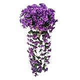 Photo Gallery botcam fiori artificiali sospesi per esterni, 2 pezzi, piante sospese e fiori per casa, matrimoni, giardini, cesti sospesi, ghirlande wisteria, decorazione bouquet di orchidee (f, taglia unica) Photo Gallery botcam fiori artificiali sospesi per esterni, 2 pezzi, piante sospese e fiori per casa, matrimoni, giardini, cesti sospesi, ghirlande wisteria, decorazione bouquet di orchidee (f, taglia unica)