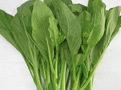 VietFA Choy Sum Sáº¸áº¸DS for Pláº¡nting - 400+ CAI Ngot Sáº¸áº¸DS Vegáº¹tables s