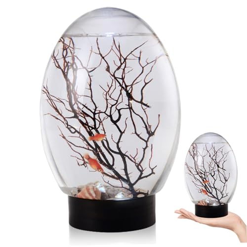 Mini Fish Tank, Small Desktop Aquarium with Led Light, Self Sustaining Ecosystem, No Need to Feed Or Change Water Closed Aquatic Ecosystem for Home Office Shrimp Ecosphere Biosphere Ecosphere - Thumbnail 2