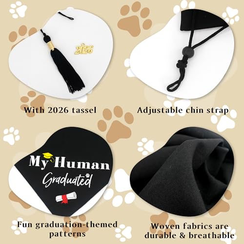 Set Graduación para Perros Large con Gorro y Bandana miniatura 5