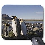  Mauspad mit seidenweicher Textiloberfl?che - Mouse Pad Paradise (antistatische Wirkung - perfekte Gleiteigenschaft PC / Computer Mousepad)-Antarktis S¨¹d Georgien Insel Gro?britannien K?nig 6