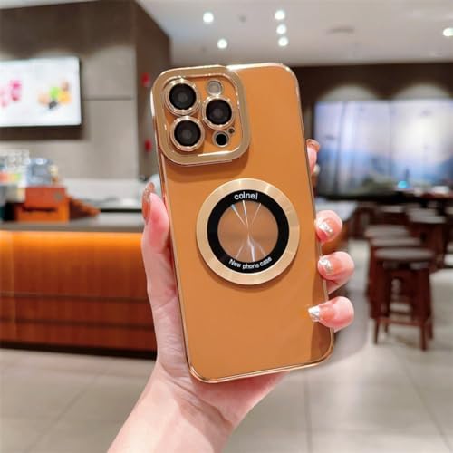 Évitez les rayures : coque de placage iPhone 13 Pro avec verre de caméra intégré