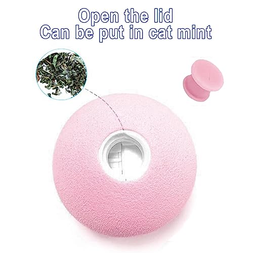 Bola brinquedo para gatos - Brinquedos fofos pelúcia para gatos para gatos internos | Bola colorida