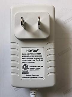 Charger for Somfy 9020672 Motor Sonesse 30 Wirefree 1003128 ONLY (ST30WF) 12V with 71