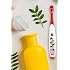 B. Designs One Direction Singing Tooth Brush (Live While were Young)/Limited Edition