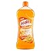 Echelle – anti-odeurs, nettoyants assiettes avec Essence de citron – 750 ml