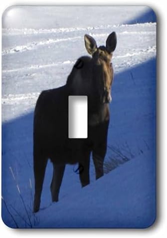 3dRose LLC lsp_13864_1 Moose Cow Standing In The Snow Single Toggle Switch image 5
