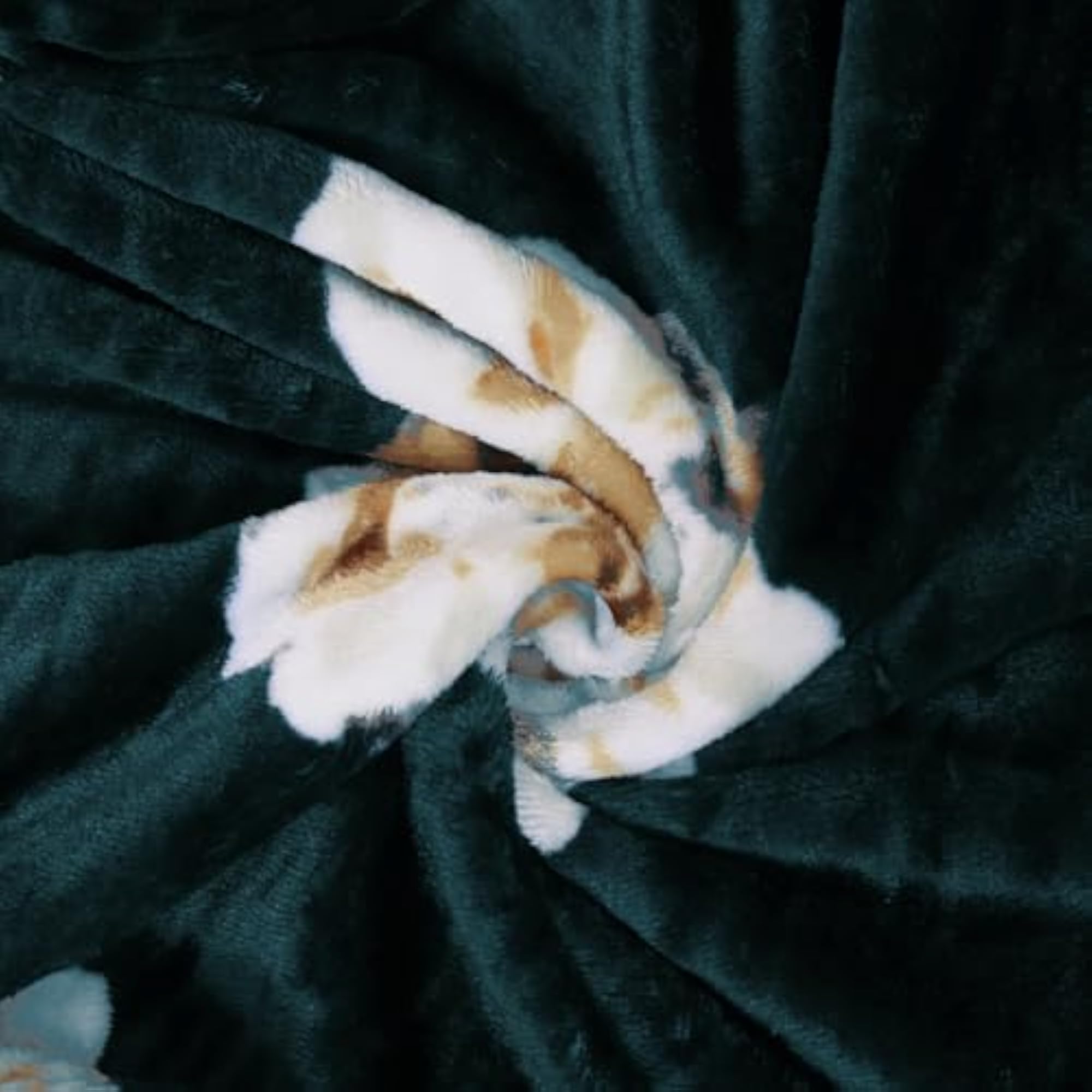 Warm Winter Bedsheet for King Size with 2 Pillow Covers, Botanical Green