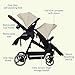 Double Tandem Stroller for Newborn & Toddler – Foldable Twin Pushchair with Reversible Seat, 5-Point Safety Harness, Adjustable Backrest & Canopy, Storage Basket