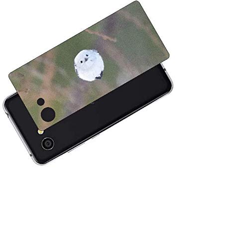 ClearView AQUOS R2 compact�Ή� �w�ʕی�t�B���� ���킢���V�}�G�i�K�̃v�����g(Photo by ������)