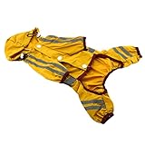 Regenmantel für kleine hunde: modischer, einzigartiger stil und auffällige farbe lassen ihren kleinen freund so cool und süß aussehen, hunderegenmäntel für