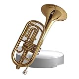 trombon de pistones yamaha Nos disculpamos sinceramente por quitarle su valioso tiempo. Verificaremos la situación y resolveremos el problema lo antes posible. Gracias por su comprensión y apoyo.