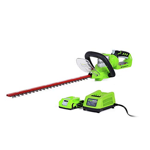 Greenworks 24V 22