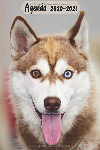 Télécharger Agenda 2020-2021: Agenda Scolaire Journalier Chien Husky | Primaire - Collège - Lycée - Etudiant - Livre eBook France