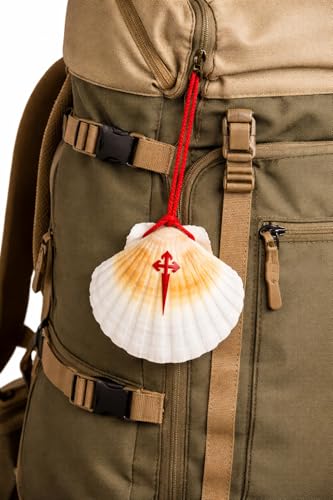 Jakobsweg Pilgermuschel – Mittel gemasert – echte Muschel aus Galizien