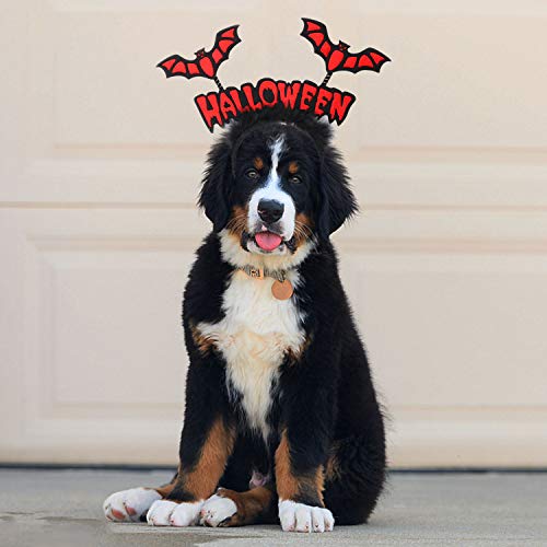 Bwogue 2 Pack Dog Halloween Headband Pumpkin & Red Bat Halloween Headwear Pet Halloween Costume Accessories For Medium Large Dogs #TOP5