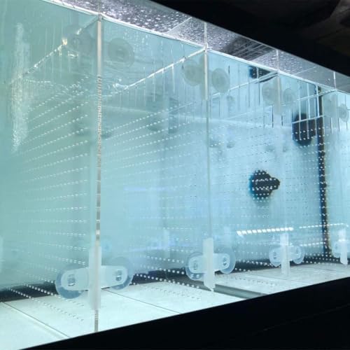 Image of Acrylic Aquarium Divider Kit 5.5 /10 / 20L / 20H / 29 / 40B / 55 /75 / 125gal Fish Tank with Suction Cups (40gal Breeder Imagitarium)