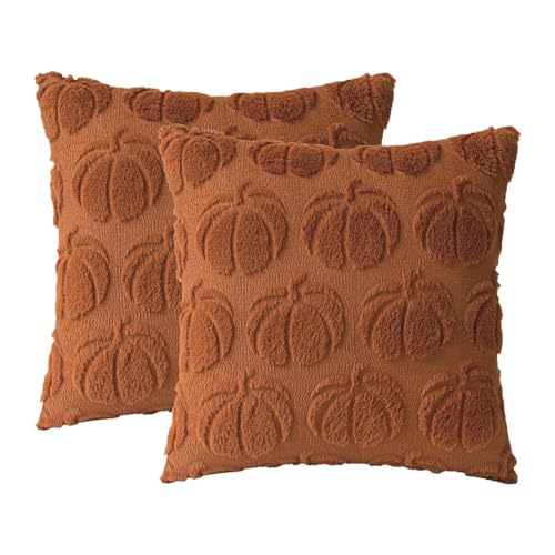 GUOOL 2 個入り かぼちゃの枕カバー クッションカバー ホームデコレーション 刺繍入り 秋 スローピローケース ソファー チェア カウチ用枕, カラメル